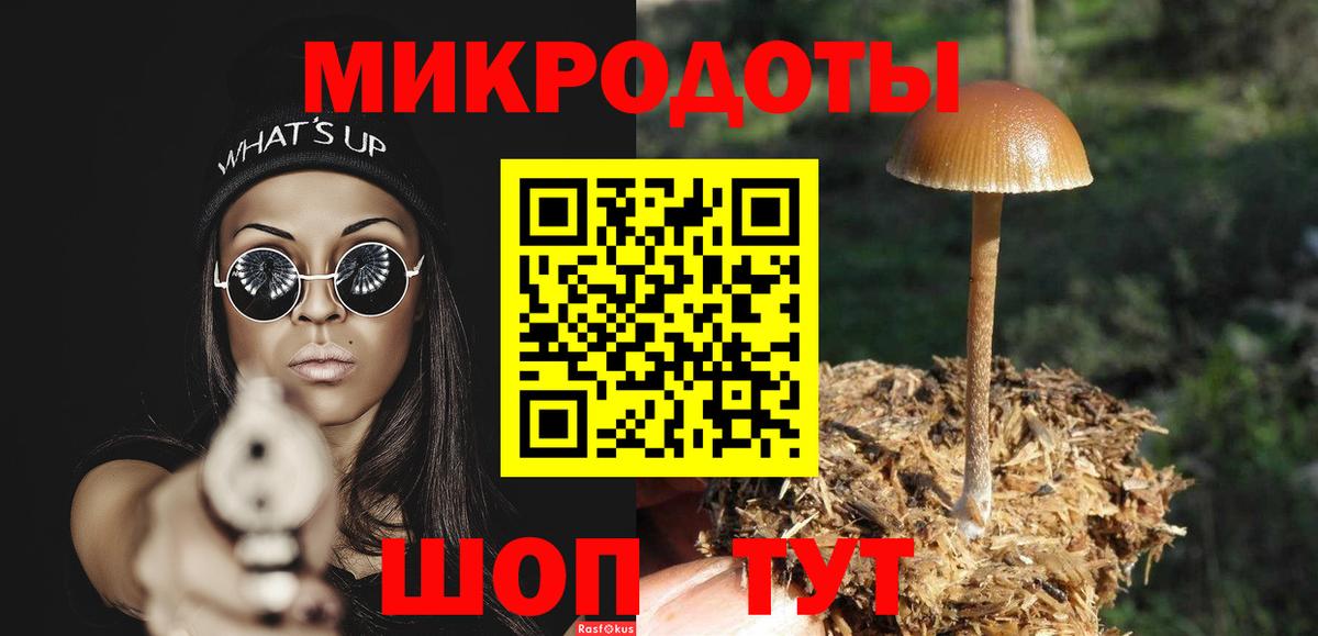 Псилоцибиновые грибы мухоморы  Вход с VPN  Реутов  Псилоцибиновые грибы GOLDEN TEACHER 