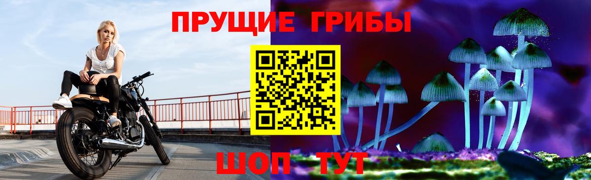 Псилоцибиновые грибы Cubensis Реутов